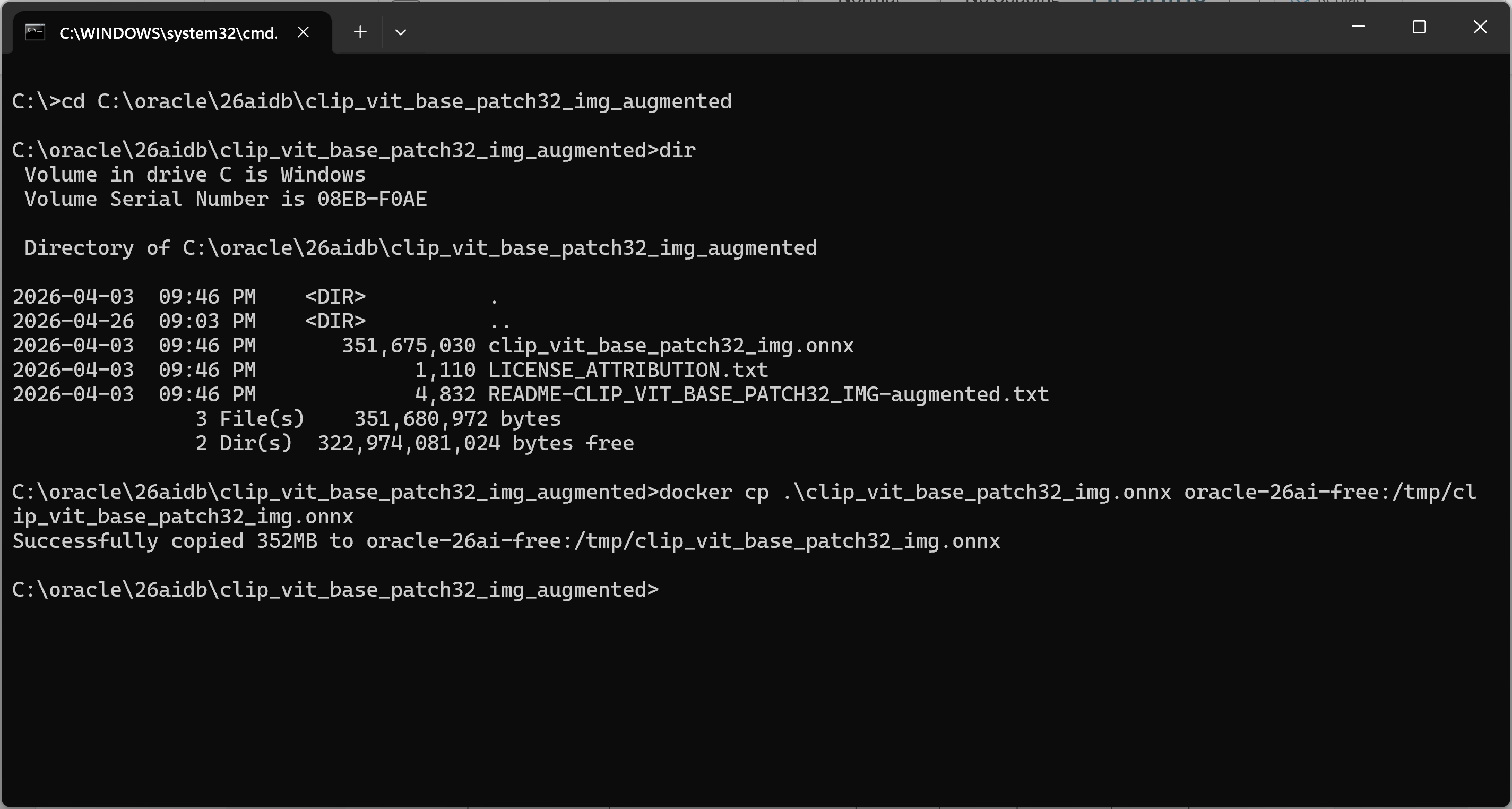 Terminal showing docker cp commands copying both CLIP ONNX files from the local machine into the Oracle 26ai container&rsquo;s /tmp directory